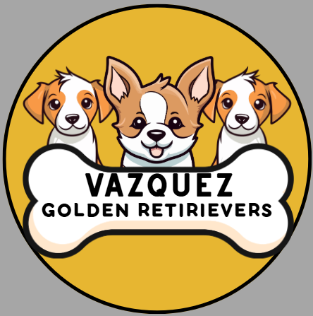 VAZQUEZ GOLDEN RETRIEVERS